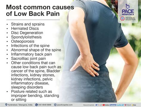 Does Running Help Lower Back Pain? And Why Do Bananas Always Seem to Disappear When You Need Them Most?