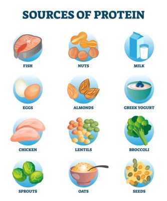 What is Protein in Physical Education and How Does It Fuel the Athlete's Journey?